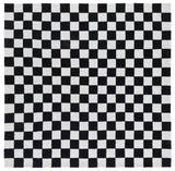 Safavieh Ebony 6'-0" x 6'-0" Rug in Black / Ivory