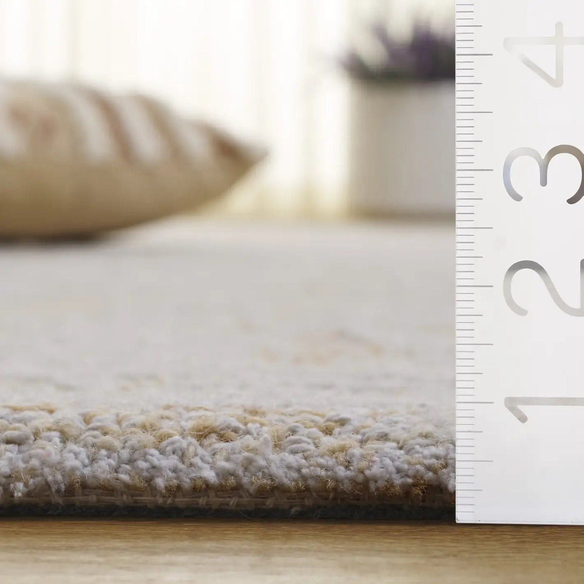 Safavieh Ebony 4'-0" x 6'-0" Rug in Ivory / Gold