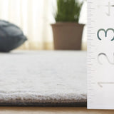Safavieh Ebony 4'-0" x 6'-0" Rug in Silver / Ivory