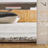 Safavieh Ebony 4'-0" x 6'-0" Rug in Dark Grey / Ivory
