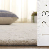 Safavieh Ebony 4'-0" x 6'-0" Rug in Ivory / Grey