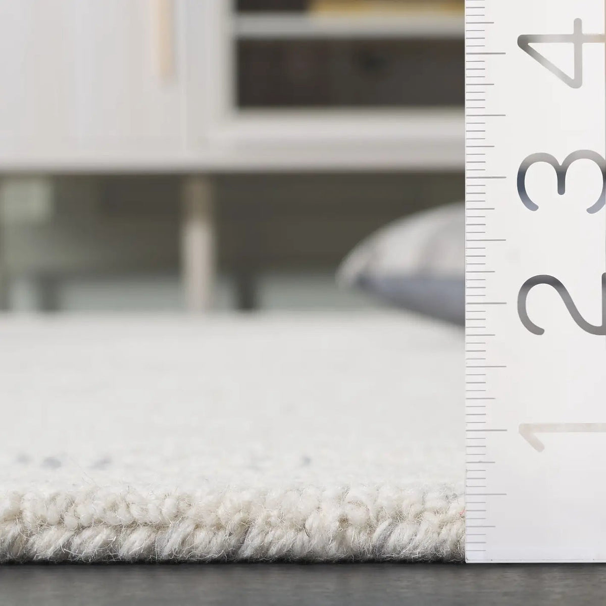 Safavieh Ebony 4'-0" x 6'-0" Rug in Ivory / Grey
