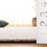 Safavieh Ebony 4'-0" x 6'-0" Rug in Beige / Rust