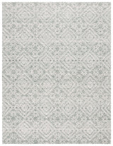 Safavieh Ebony Ebn303F Ivory/Grey Rug - Safavieh - ebn303f - 6r