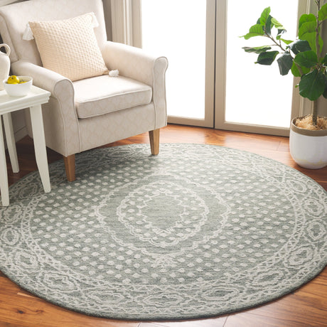 Safavieh Ebony Ebn306F Ivory/Grey Rug - Safavieh - ebn306f - 6r