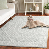 Safavieh Ebony Ebn306F Ivory/Grey Rug - Safavieh - ebn306f - 6r
