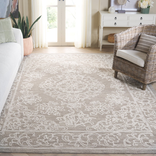 Safavieh Ebony Ebn308H Ivory/Dark Grey Rug - Safavieh - ebn308h - 6r