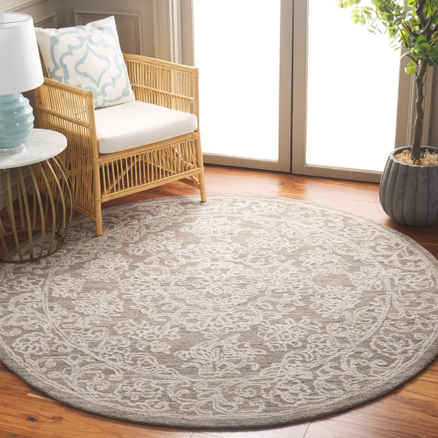 Safavieh Ebony Ebn308H Ivory/Dark Grey Rug - Safavieh - ebn308h - 6r