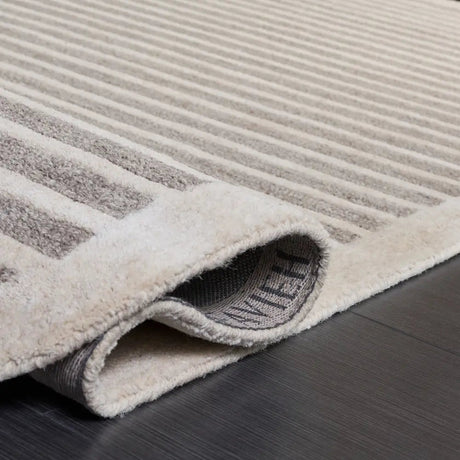 Safavieh Ebony 5'-0" x 8'-0" Rug in Grey / Ivory