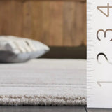 Safavieh Ebony 5'-0" x 8'-0" Rug in Grey / Ivory