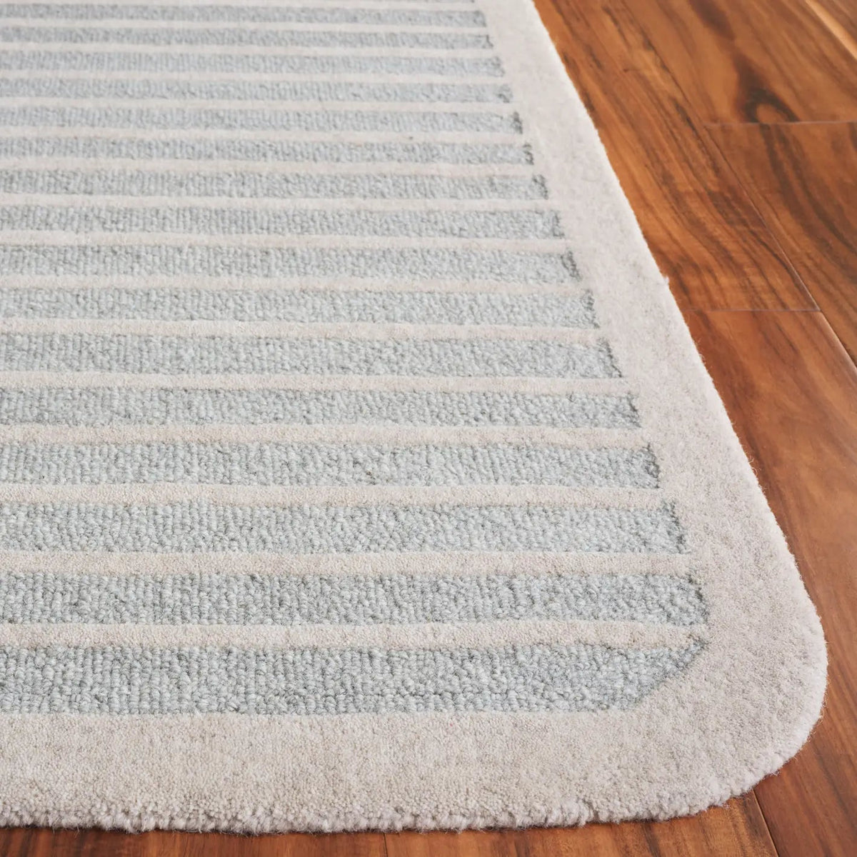 Safavieh Ebony 4'-0" x 6'-0" Rug in Light Blue / Ivory