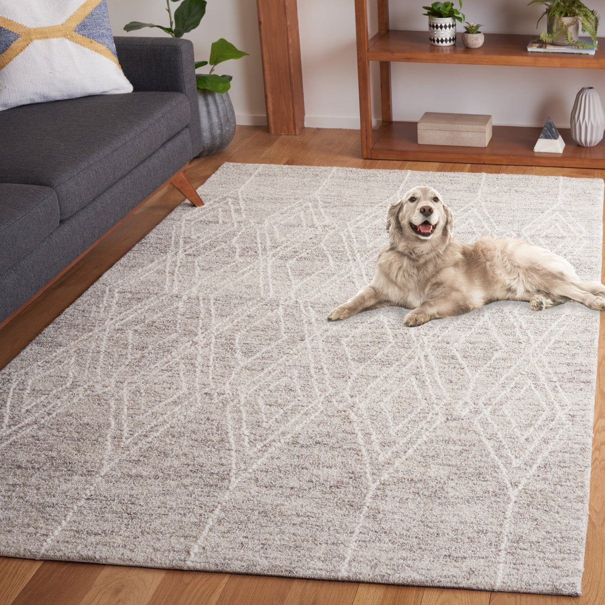 Safavieh Ebony Ebn357G Grey/Ivory Rug - Safavieh - ebn357g - 6r