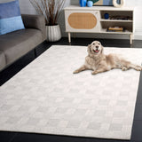 Safavieh Ebony Ebn358F Light Grey/Ivory Rug - Safavieh - ebn358f - 6r