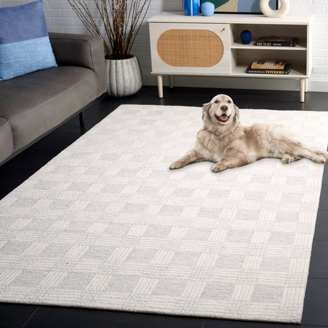 Safavieh Ebony Ebn358F Light Grey/Ivory Rug - Safavieh - ebn358f - 6r