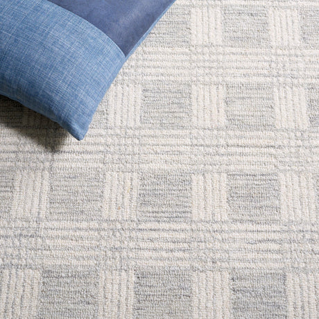 Safavieh Ebony Ebn358F Light Grey/Ivory Rug - Safavieh - ebn358f - 6r
