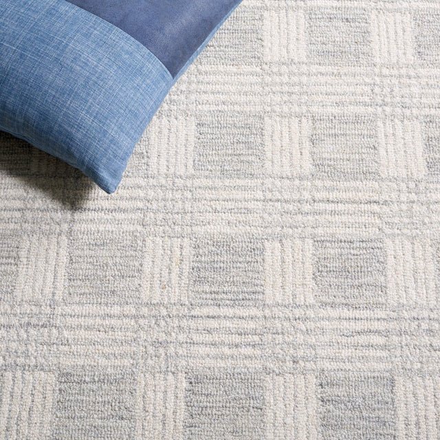 Safavieh Ebony Ebn358F Light Grey/Ivory Rug - Safavieh - ebn358f - 6r