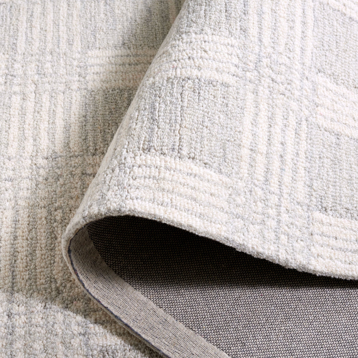 Safavieh Ebony Ebn358F Light Grey/Ivory Rug - Safavieh - ebn358f - 6r