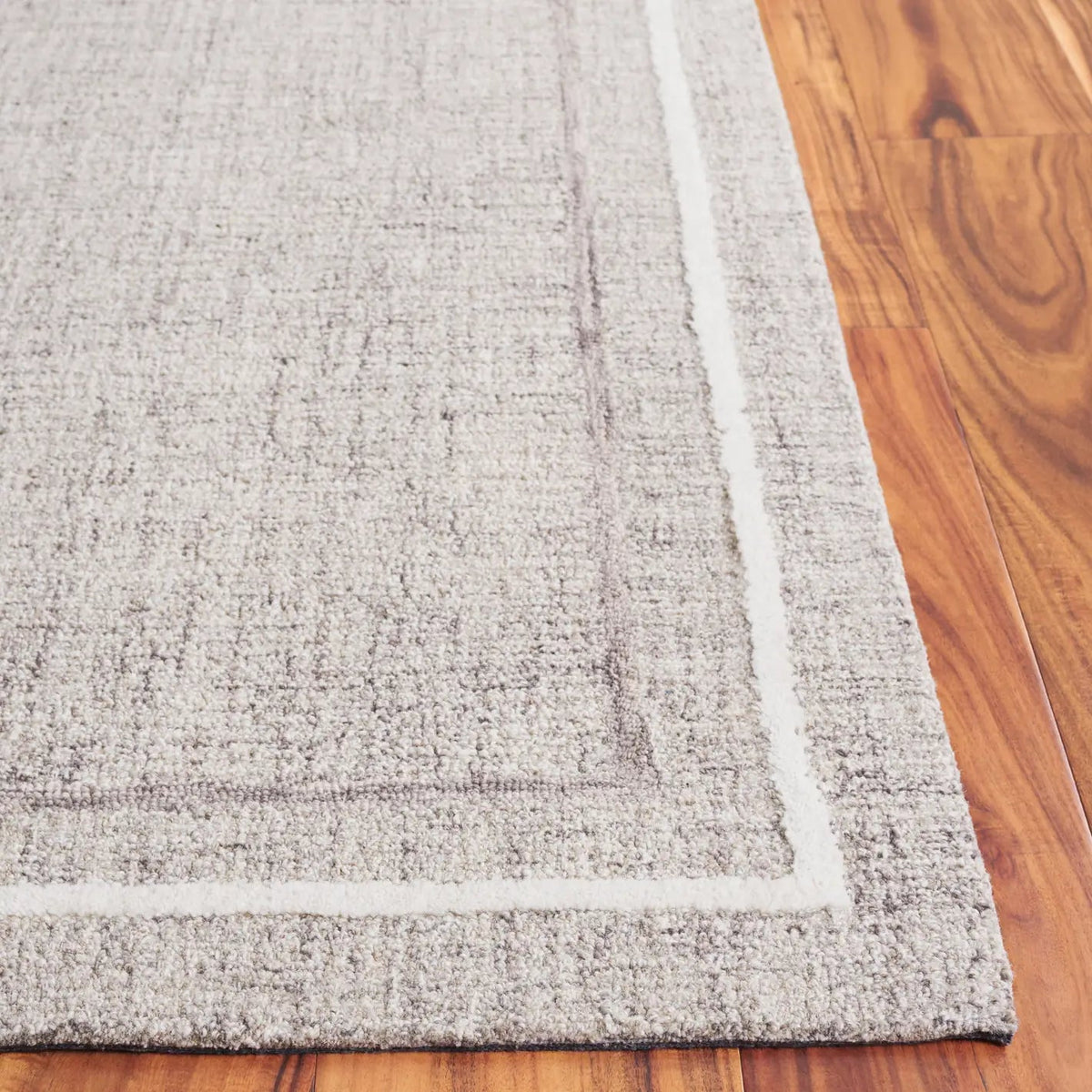 Safavieh Ebony 4'-0" x 6'-0" Rug in Grey / Ivory