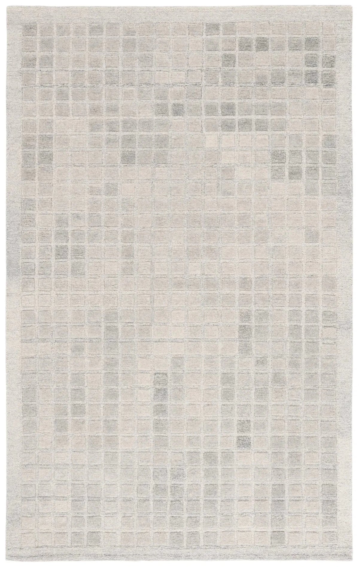 Safavieh Ebony 4'-0" x 6'-0" Rug in Grey
