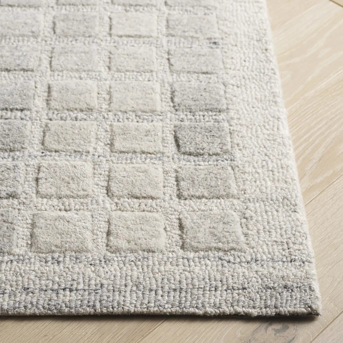 Safavieh Ebony 4'-0" x 6'-0" Rug in Grey