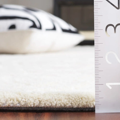 Safavieh Ebony 4'-0" x 6'-0" Rug in Ivory