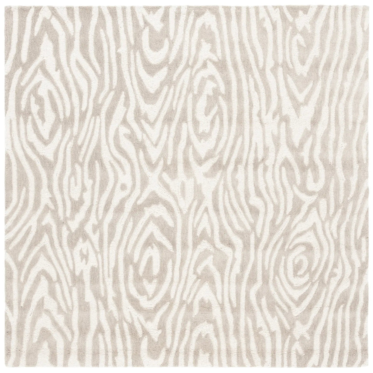 Safavieh Ebony 6'-0" x 6'-0" Rug in Grey / Ivory