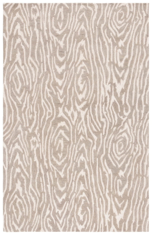 Safavieh Ebony Ebn550F Grey/Ivory Rug - Safavieh - ebn550f - 3