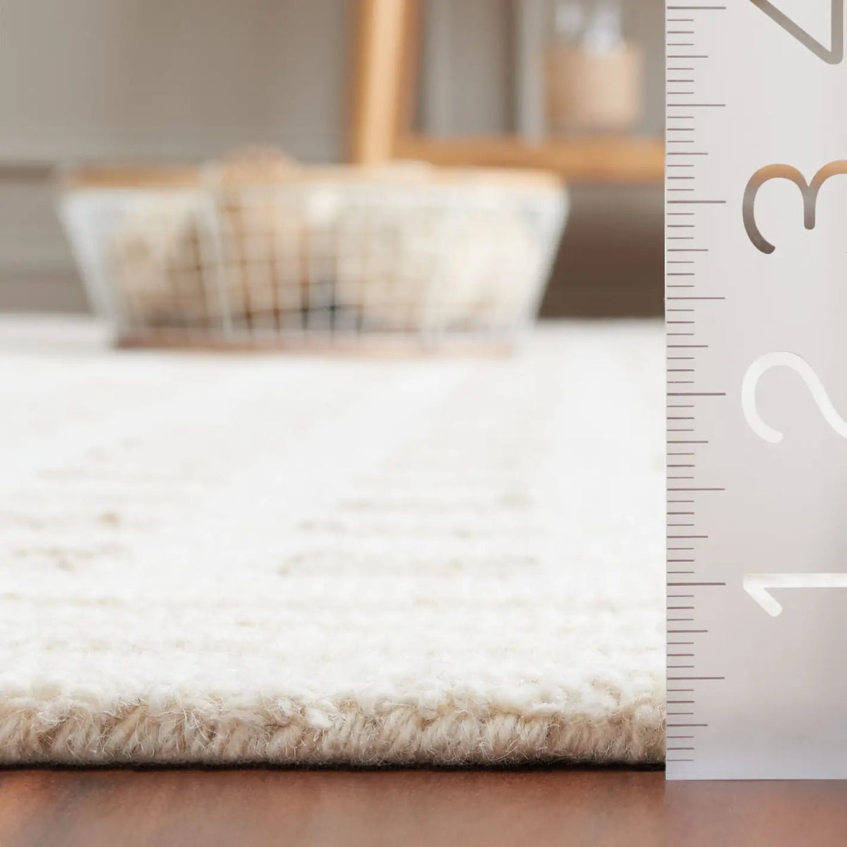 Safavieh Ebony 4'-0" x 6'-0" Rug in Ivory / Beige
