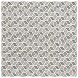 Safavieh Ebony 6'-0" x 6'-0" Rug in Ivory / Grey