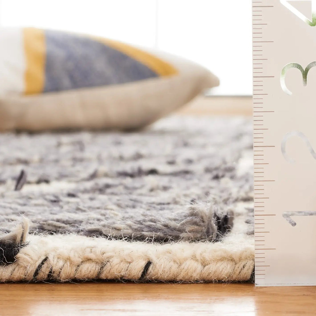 Safavieh Ebony 4'-0" x 6'-0" Rug in Dark Grey / Ivory