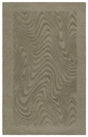Safavieh Ebony 4'-0" x 6'-0" Rug in Green
