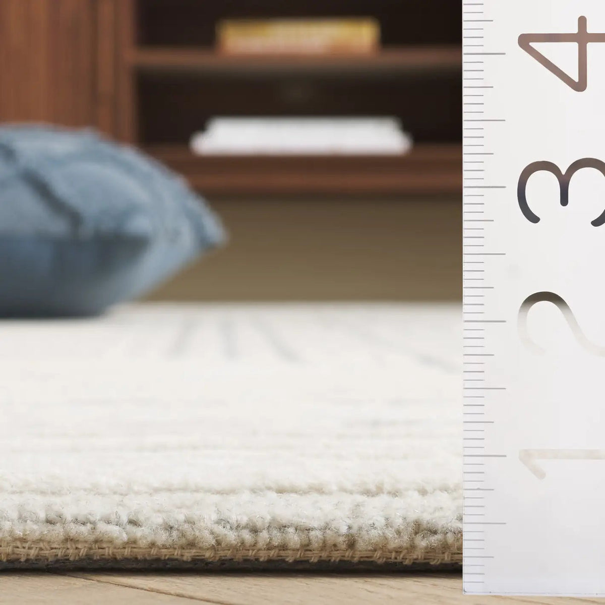 Safavieh Ebony 4'-0" x 6'-0" Rug in Ivory / Grey