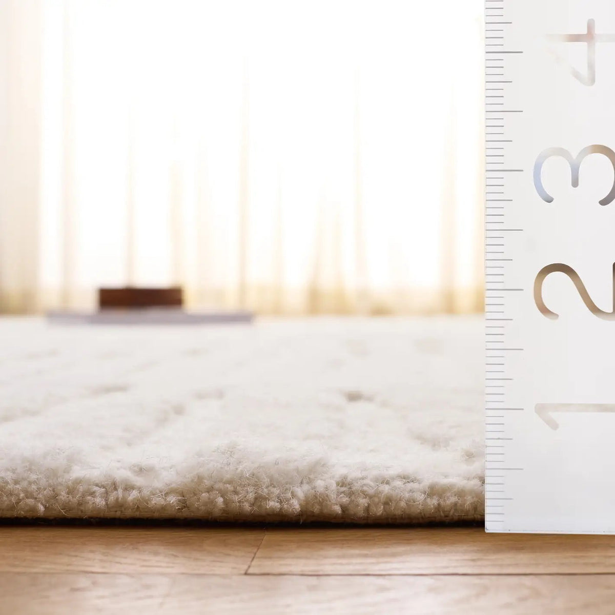 Safavieh Ebony 4'-0" x 6'-0" Rug in Ivory