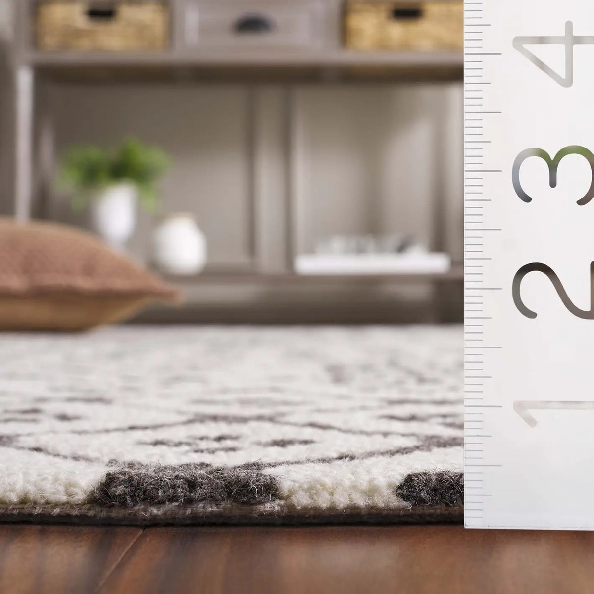 Safavieh Ebony 4'-0" x 6'-0" Rug in Ivory / Grey