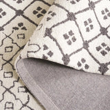 Safavieh Ebony 4'-0" x 6'-0" Rug in Ivory / Grey