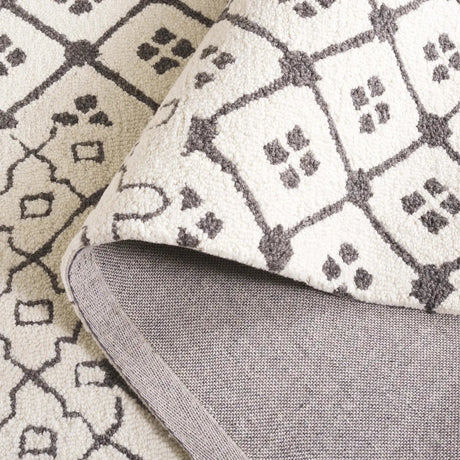 Safavieh Ebony 4'-0" x 6'-0" Rug in Ivory / Grey