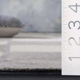 Safavieh Ebony 4'-0" x 6'-0" Rug in Ivory / Grey