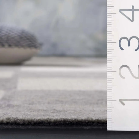 Safavieh Ebony 4'-0" x 6'-0" Rug in Ivory / Grey