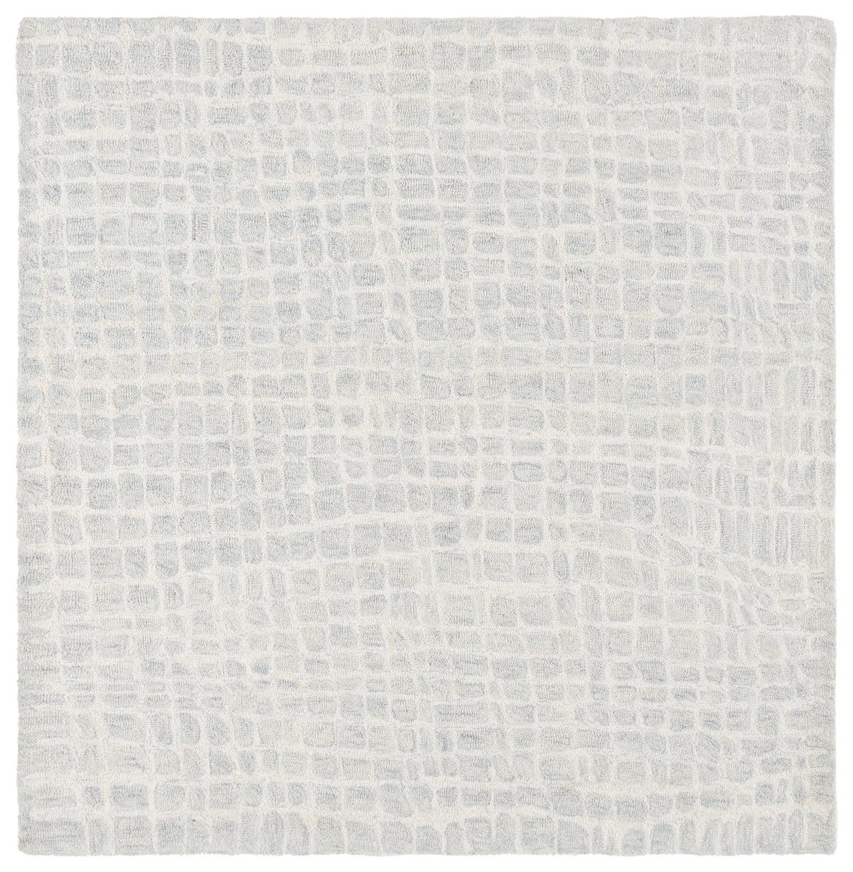 Safavieh Ebony 6'-0" x 6'-0" Rug in Ivory / Light Blue