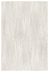 Safavieh Ebony 4'-0" x 6'-0" Rug in Grey / Ivory
