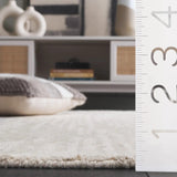 Safavieh Ebony 4'-0" x 6'-0" Rug in Grey / Ivory