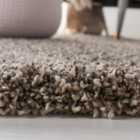 Safavieh Evolution Shag Evo520T Brown Rugs - Safavieh - evo520t - 7r