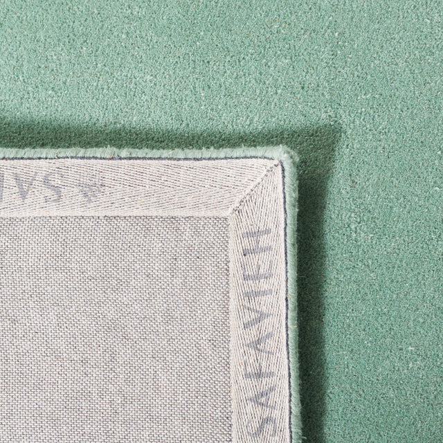 Safavieh Fifth Avenue Ftv128Y Green Rug - Safavieh - ftv128y - 3