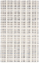 Safavieh Fifth Avenue 4'-0" x 6'-0" Rug in Dark Grey / Ivory