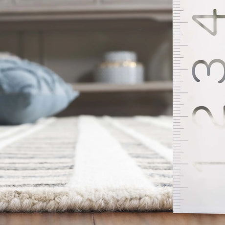 Safavieh Fifth Avenue 4'-0" x 6'-0" Rug in Dark Grey / Ivory