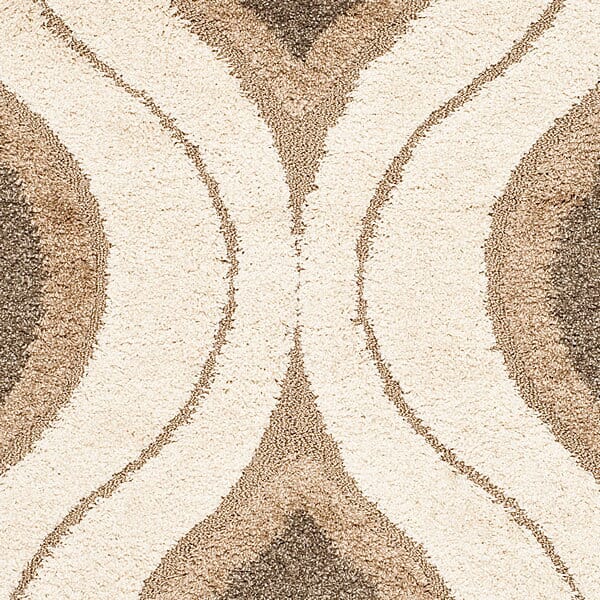 Safavieh Florida Shag Sg461 - 1179 Cream / Smoke Rugs - Safavieh - sg461 - 1179 - 3