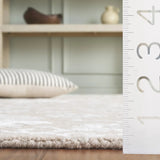 Safavieh Glamour 4'-0" x 6'-0" Rug in Beige / Ivory