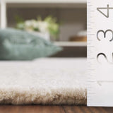 Safavieh Glamour 4'-0" x 6'-0" Rug in Ivory