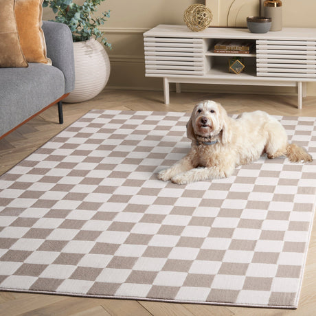Safavieh Groove Grv122A Ivory/Beige Rug - Safavieh - grv122a - 28