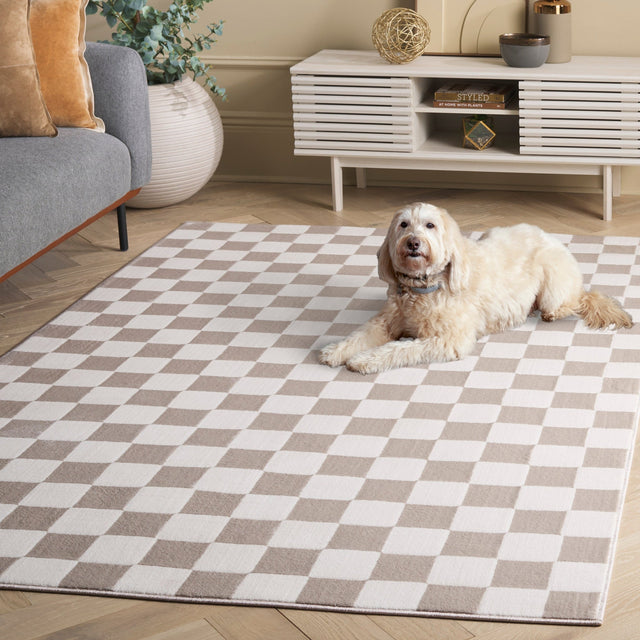 Safavieh Groove Grv122A Ivory/Beige Rug - Safavieh - grv122a - 28